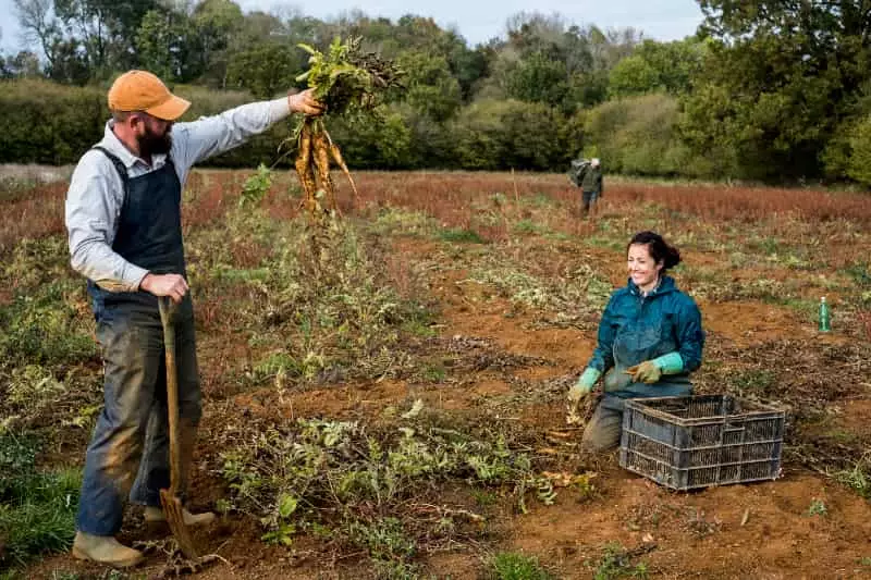 Ocupações do agro