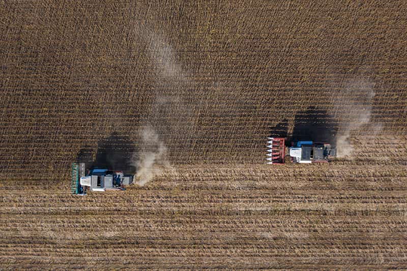Perdas agrícolas