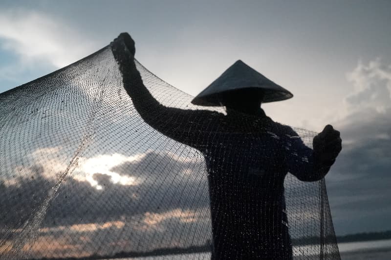 Pesca da tainha por emalhe é suspensa após atingir 90% da cota em 2025 3 Pesca