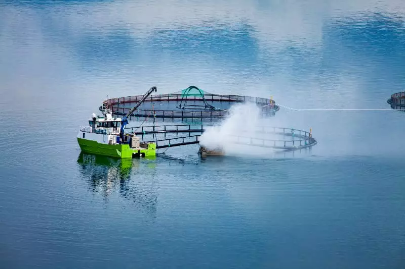 Pesca e aquicultura