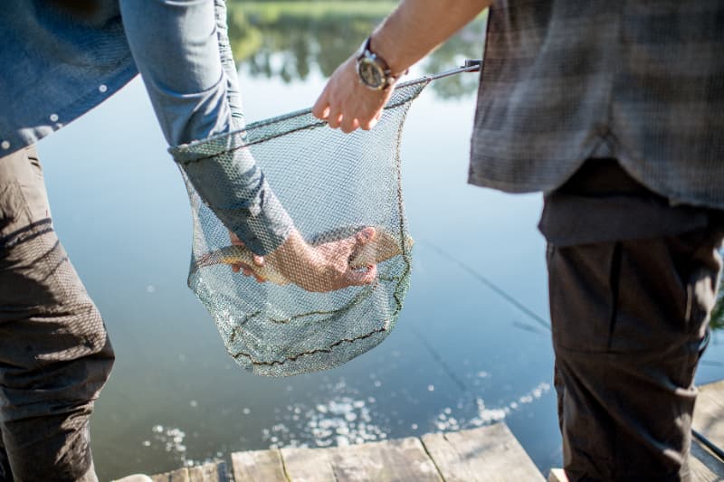 Pesca da tainha por emalhe é suspensa após atingir 90% da cota em 2025 2 Pesca por tainha