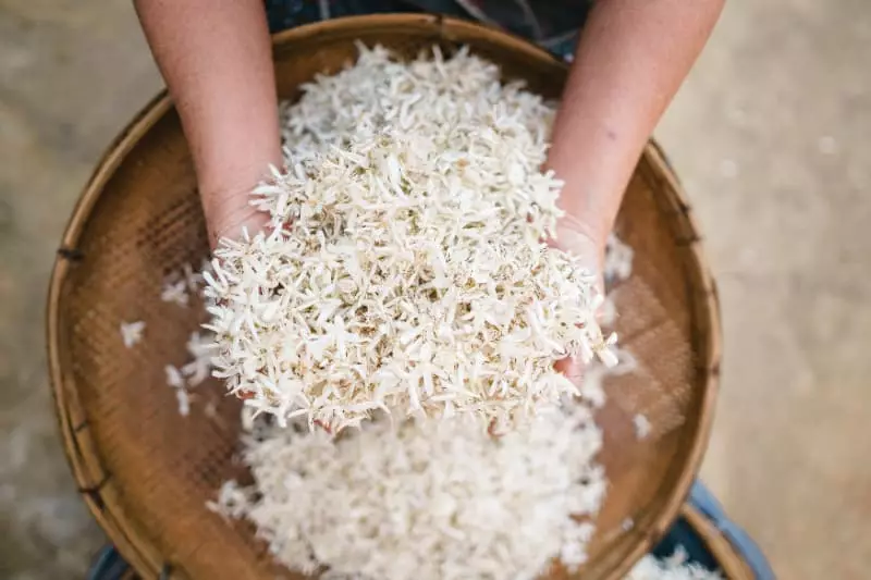 Preço do arroz