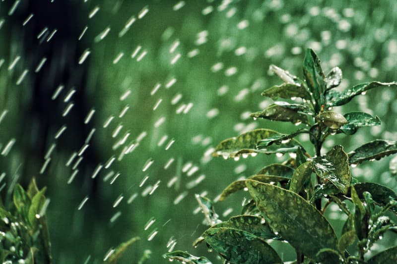 Previsão de chuva