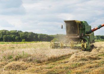 CMN reduz limite do Proagro para R$ 200 mil e muda regras de indenização