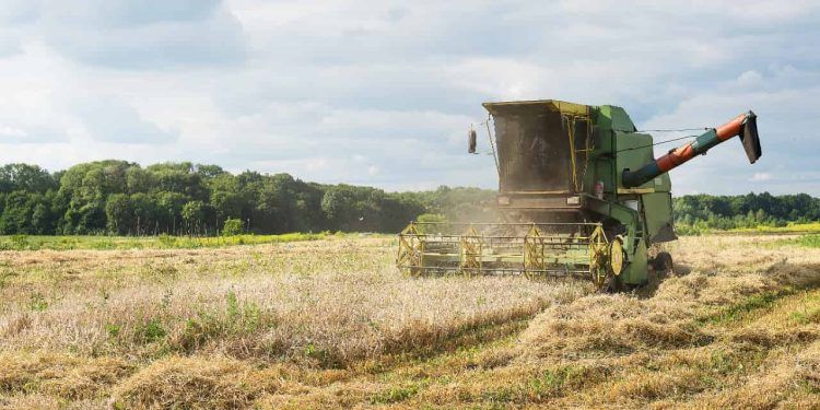 CMN reduz limite do Proagro para R$ 200 mil e muda regras de indenização