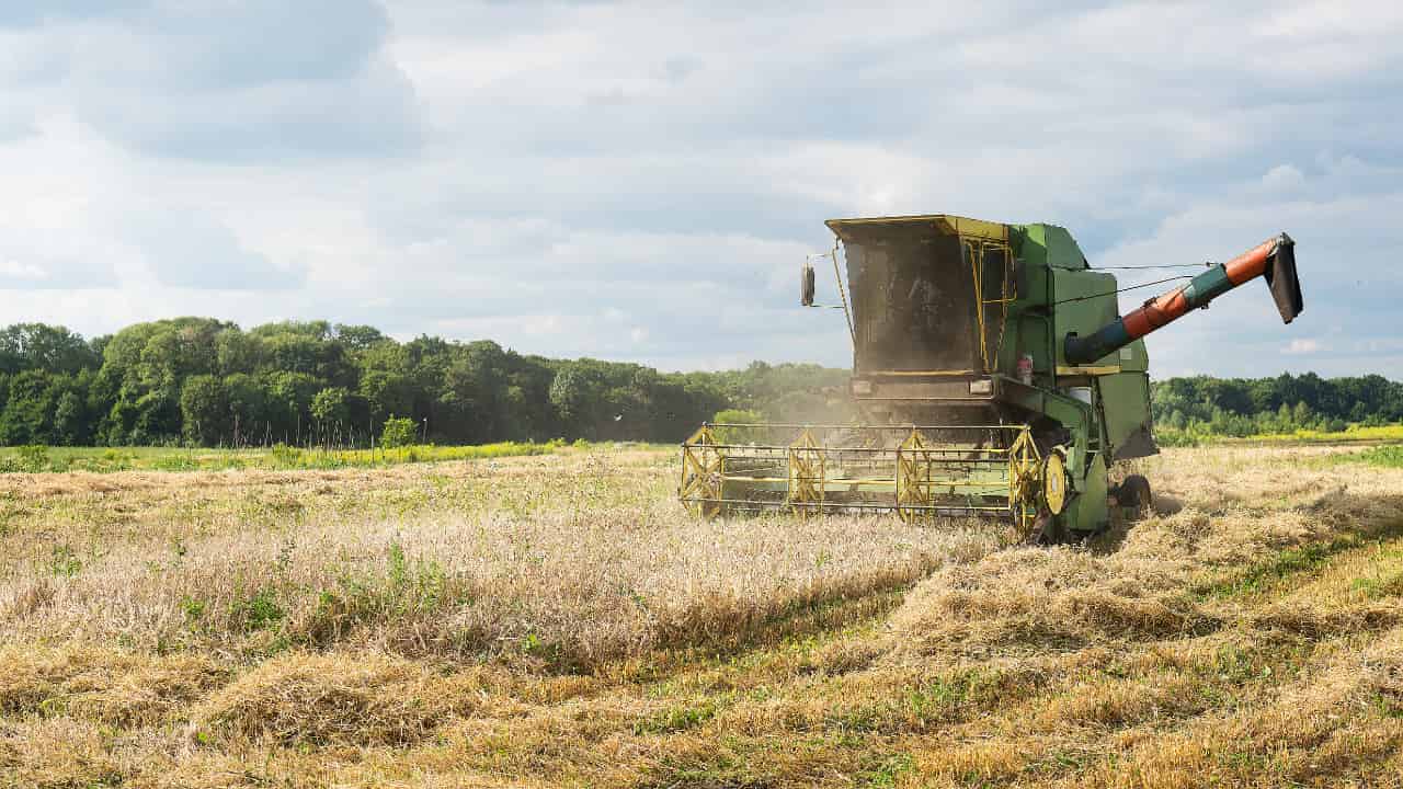 Proagro CMN reduz limite do Proagro para R$ 200 mil e muda regras de indenização