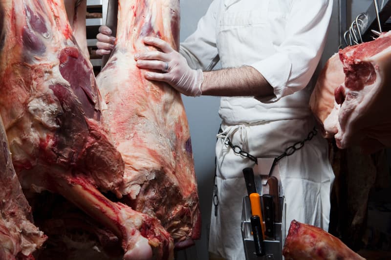 Produção de carnes deve ultrapassar 31 milhões de toneladas em 2025, estima Conab 2 Produção de carnes