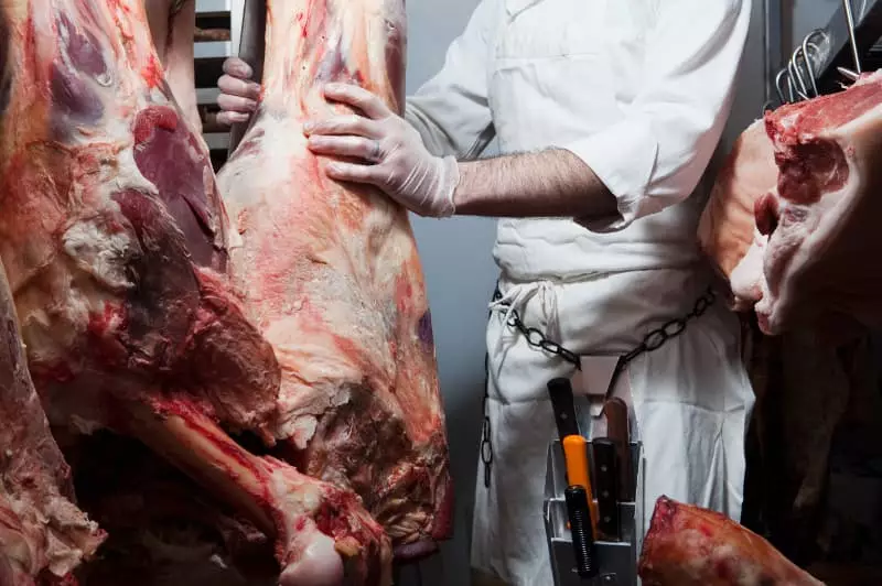 Produção de carnes