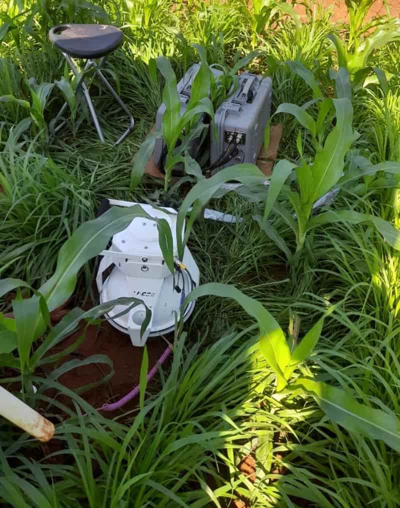 Iniciativa em Goiás propõe novos caminhos para restauração do Cerrado e do Pantanal 2 Restauração do pantanal