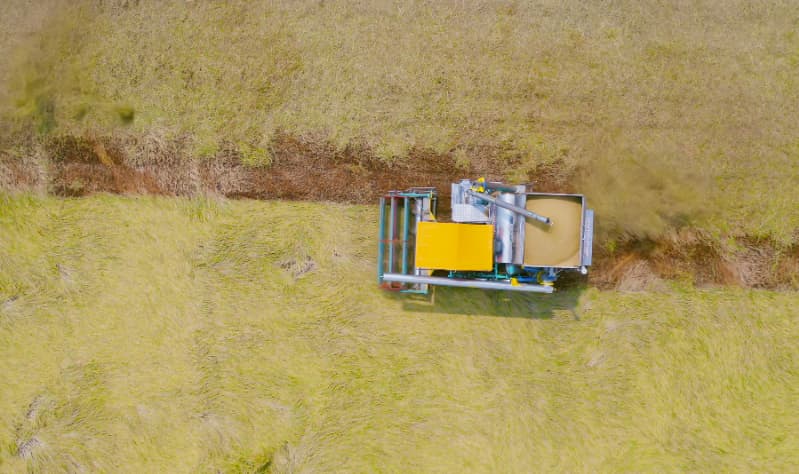 Seguro rural recebe novo aporte para atender produtores até agosto; veja como contratar 2 Seguro rural