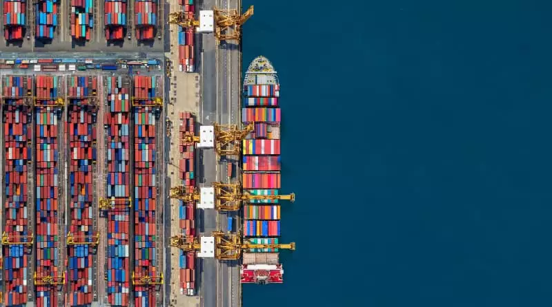 Brasil garante acesso à União Econômica Euroasiática para exportação de subprodutos animais 2 Subprodutos de origem animal