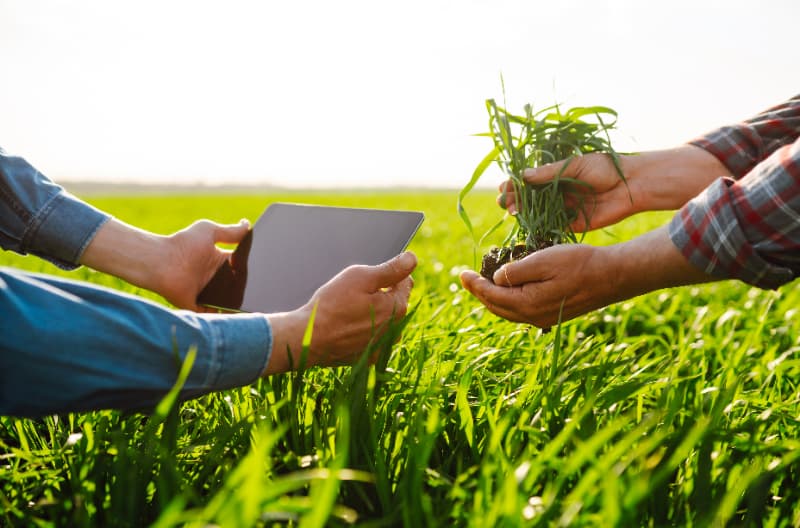 Programa é lançado para fomentar projetos sustentáveis na agropecuária 2 Sustentabilidade no campo
