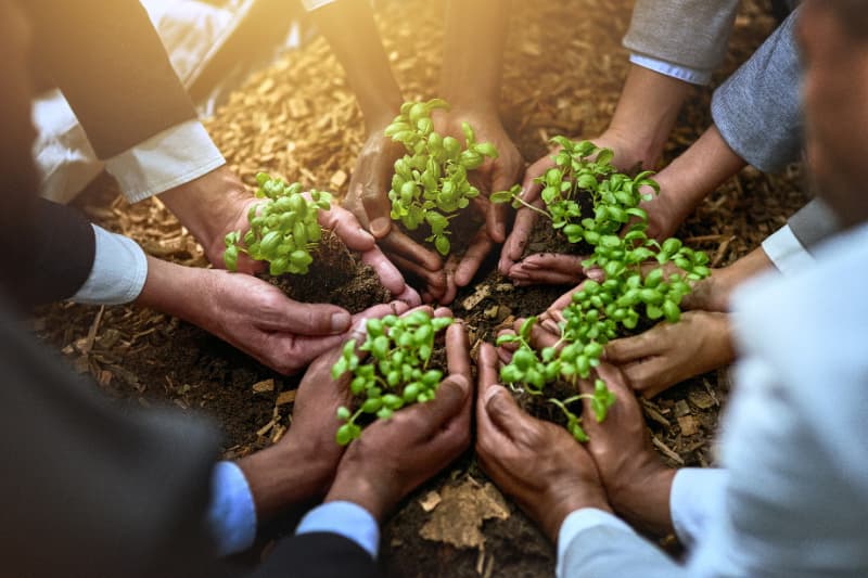Programa é lançado para fomentar projetos sustentáveis na agropecuária 3 Sustentabilidade
