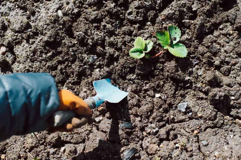 Zoneamento agrícola adota nova metodologia com foco no manejo do solo 2 Zoneamento agrícola