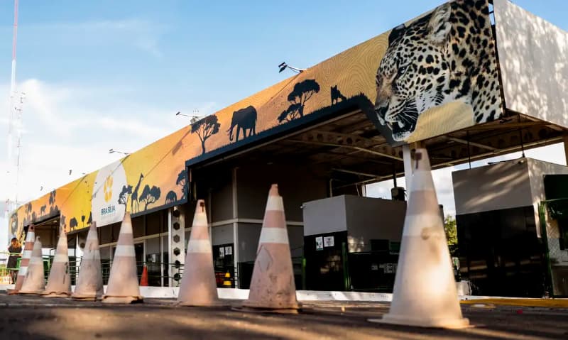 Zoológico de Brasília confirma caso de gripe aviária em aves silvestres 2 Zoológico de Brasília