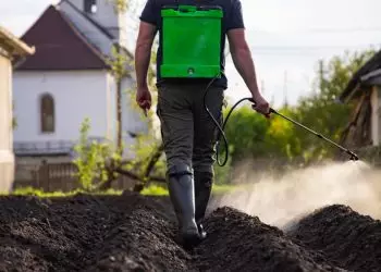 Alta demanda global e oferta restrita elevam preços dos fertilizantes, aponta CNAAlta demanda global e oferta restrita elevam preços dos fertilizantes, aponta CNA