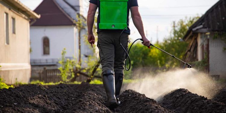 Alta demanda global e oferta restrita elevam preços dos fertilizantes, aponta CNAAlta demanda global e oferta restrita elevam preços dos fertilizantes, aponta CNA