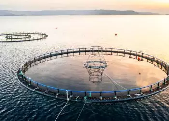 Aquicultura se firma como aliada no combate às mudanças climáticas