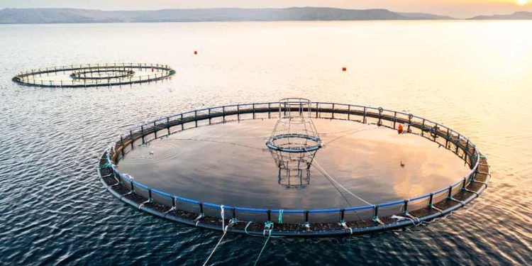 Aquicultura se firma como aliada no combate às mudanças climáticas