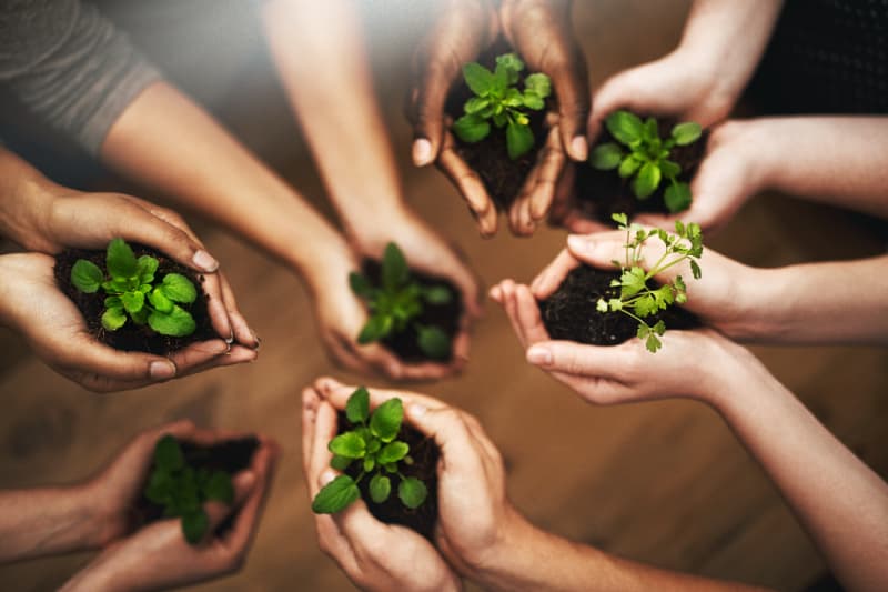 Justiça climática e financiamento verde colocam agro no centro da agenda do BRICS 2 BRICS