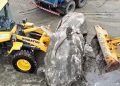 Baleia em decomposição é encontrada encalhada em praia de São Paulo