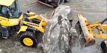 Baleia em decomposição é encontrada encalhada em praia de São Paulo