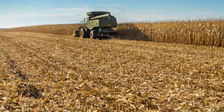 Boas práticas no solo passam a influenciar zoneamento climático da soja, diz Embrapa