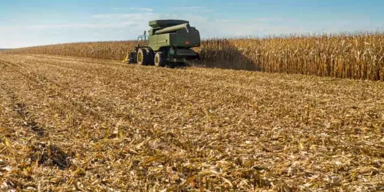 Boas práticas no solo passam a influenciar zoneamento climático da soja 1 Boas práticas no solo passam a influenciar zoneamento climático da soja, diz Embrapa