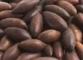 Brasil amplia exportações agropecuárias com novos mercados na União Europeia e Malásia