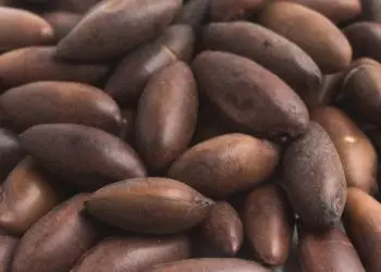 Brasil amplia exportações agropecuárias com novos mercados na União Europeia e Malásia