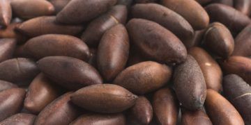 Brasil amplia exportações agropecuárias com novos mercados na União Europeia e Malásia