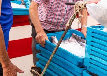 Brasil conquista acesso ao mercado chinês para exportações de pescados