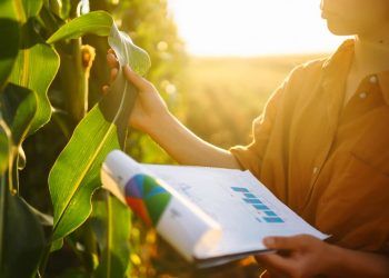 Brasil e Índia firmam acordo para expandir cooperação em pesquisa agropecuária