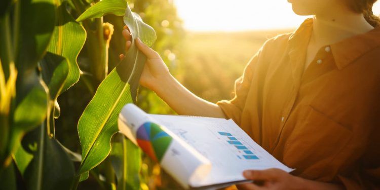 Brasil e Índia firmam acordo para expandir cooperação em pesquisa agropecuária