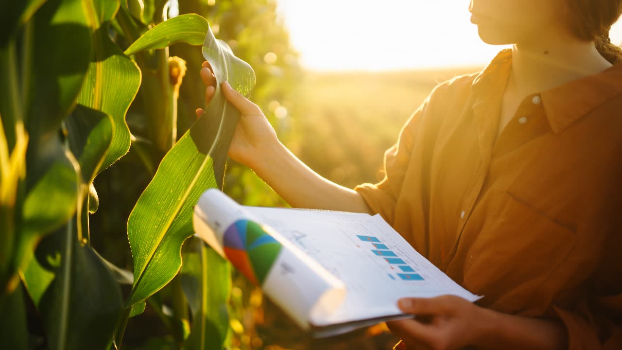 Brasil e Índia firmam acordo para expandir cooperação em pesquisa agropecuária