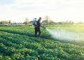 Brasil lança programa para reduzir uso de agrotóxicos na produção agrícola