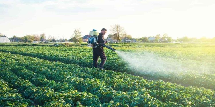 Brasil lança programa para reduzir uso de agrotóxicos na produção agrícola