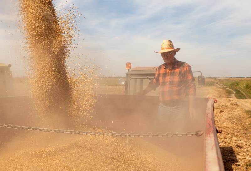 Produtores rurais têm até 17 de julho para regularizar CCIR 2025 2 CCIR-2025