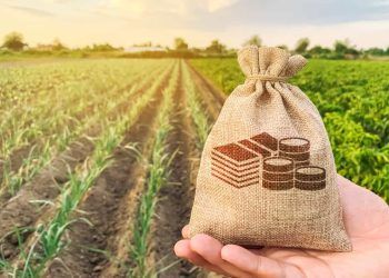 Câmara aprova uso de R$ 30 bilhões do pré-sal para renegociar dívidas do agronegócio