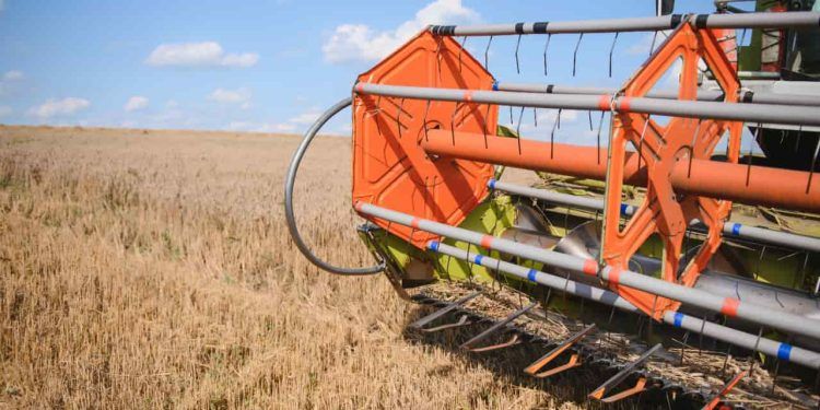 Crédito rural atinge R$ 516,2 bilhões na nova edição do Plano Safra 2526