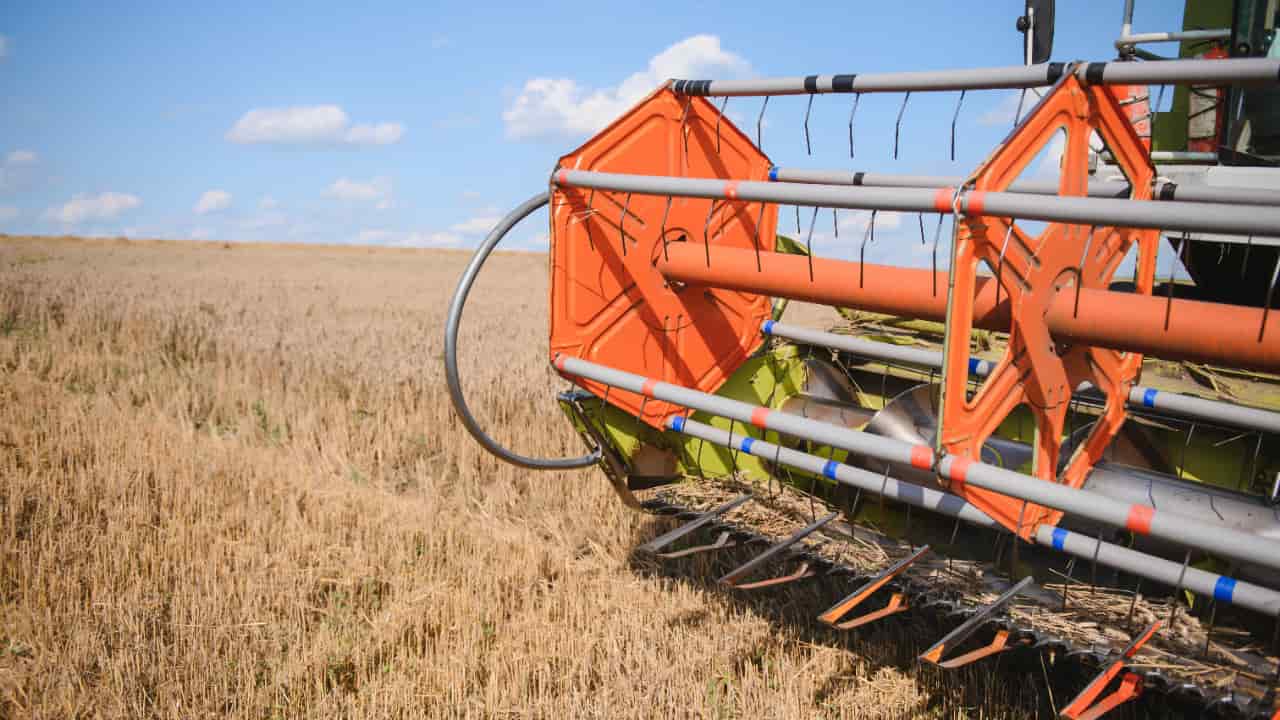 Crédito rural atinge R$ 516,2 bilhões na nova edição do Plano Safra 25/26