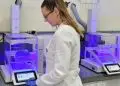 Defesa Agropecuária abre seleção para credenciamento de laboratórios em áreas estratégicas