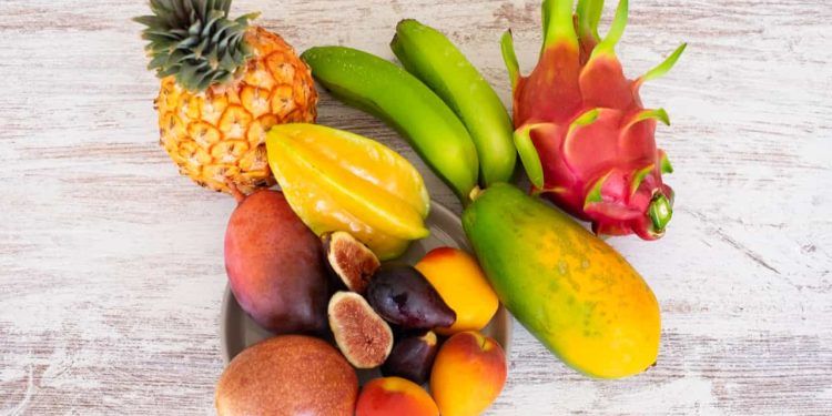EUA podem isentar café e produtos tropicais de tarifa de importação