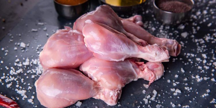 Exportação de carne de aves do Brasil é retomada por sete países após controle da gripe aviária