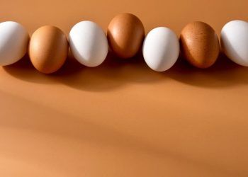 Exportações brasileiras de ovos registram crescimento de quase 200% no semestre