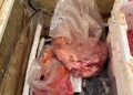 Fábrica clandestina de linguiça é fechada em Goiás após apreensão de carne imprópria