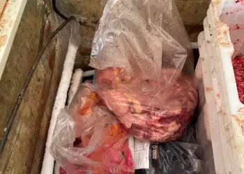 Fábrica clandestina de linguiça é fechada em Goiás após apreensão de carne imprópria
