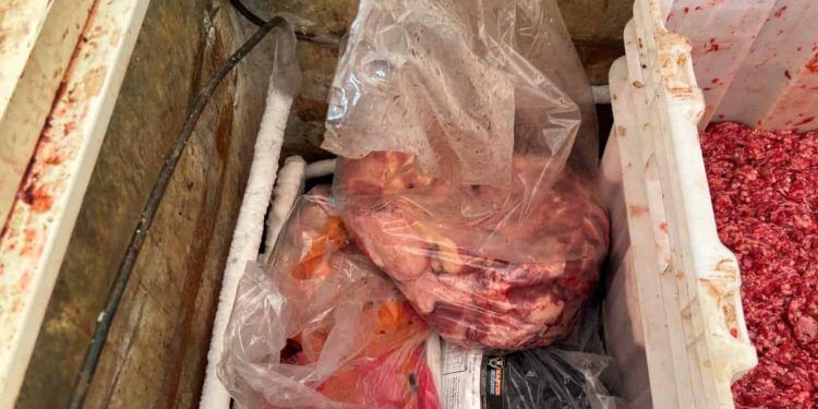 Fábrica clandestina de linguiça é fechada em Goiás após apreensão de carne imprópria