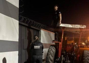 Fraude no transporte de animais é alvo de operação em Goiás e outros quatro estados