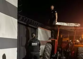 Fraude no transporte de animais é alvo de operação em Goiás e outros quatro estados